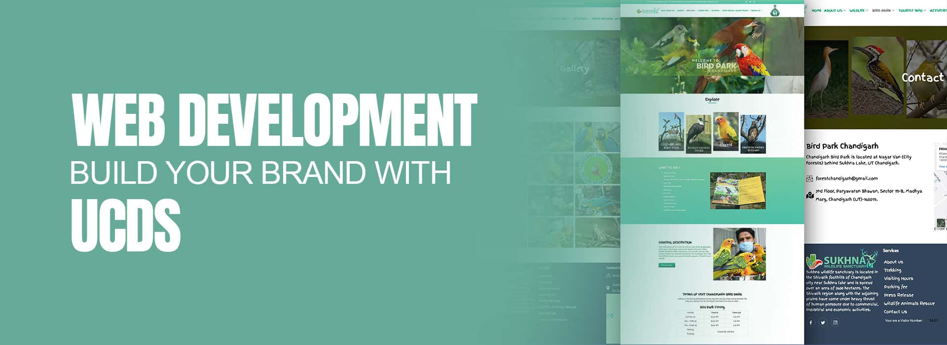 best website development company in chandigarh